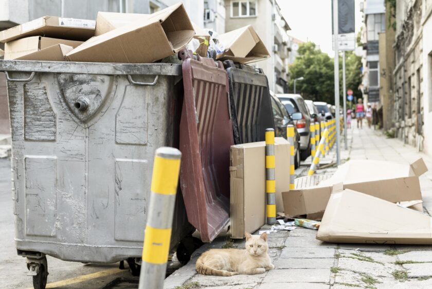 Pile of rubbish in Sydney street waiting for rubbish removal service