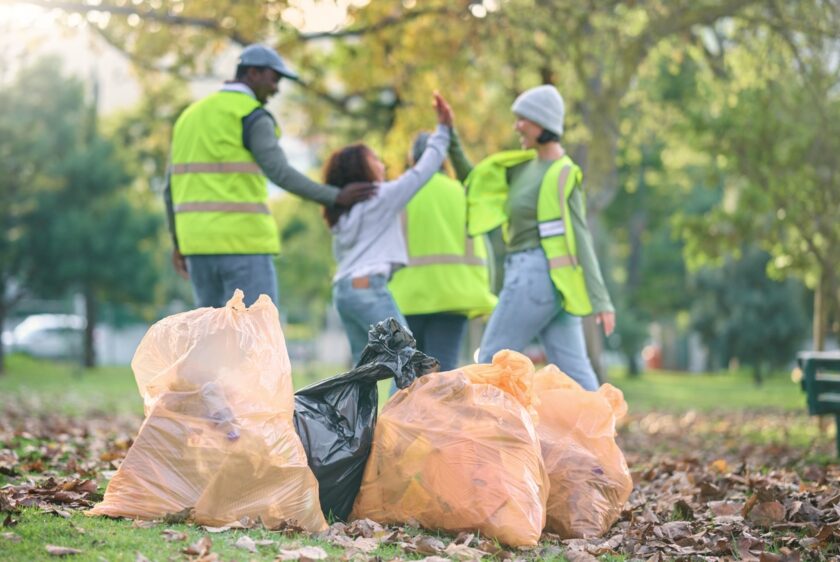 rubbish collection sydney council vs professional