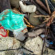Rubbish from used medical masks washed up on the beach after a storm