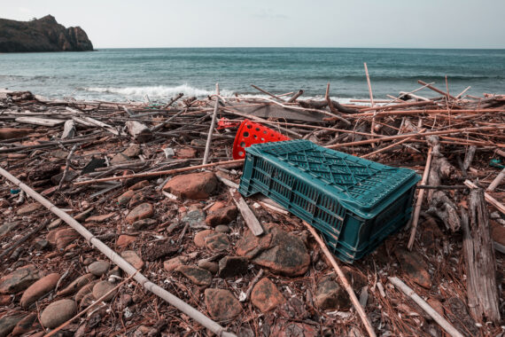 Plastics washed up on Sydney's beaches after a storm have to be removed