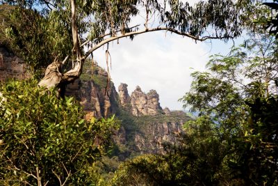 rubbish removal katoomba